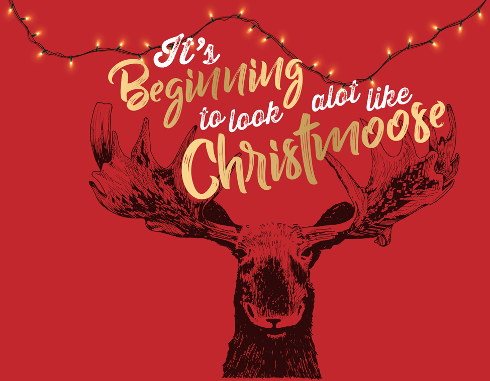 Alive With Ideas - Christmoose Countdown Calendar