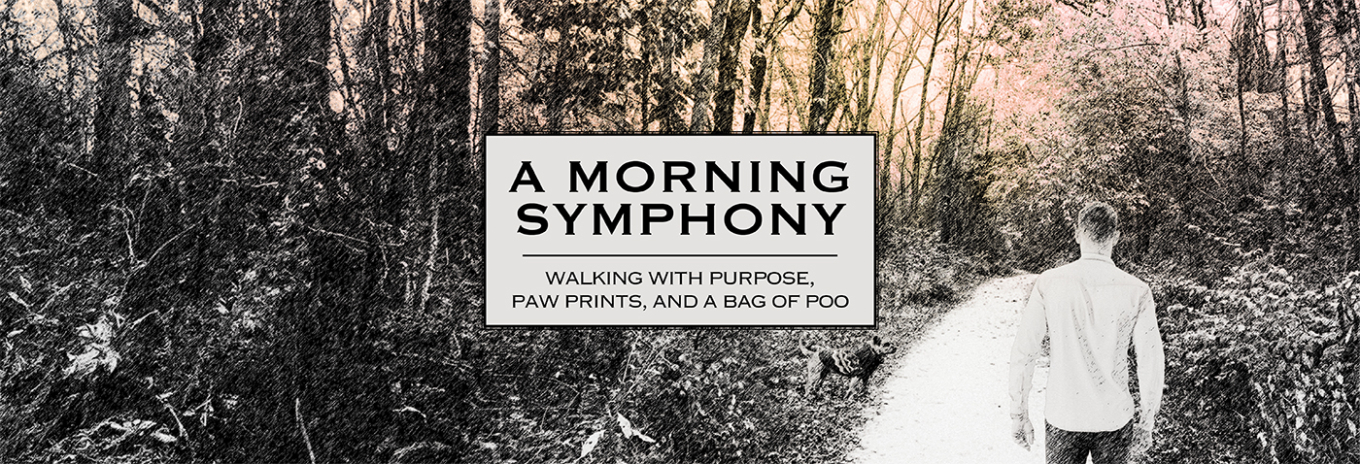 A Morning Symphony: Walking with purpose, paw prints, and a bag of poo
